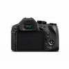 Panasonic Lumix FZ300 12.1MP Compact Ultra HD Digital Camera